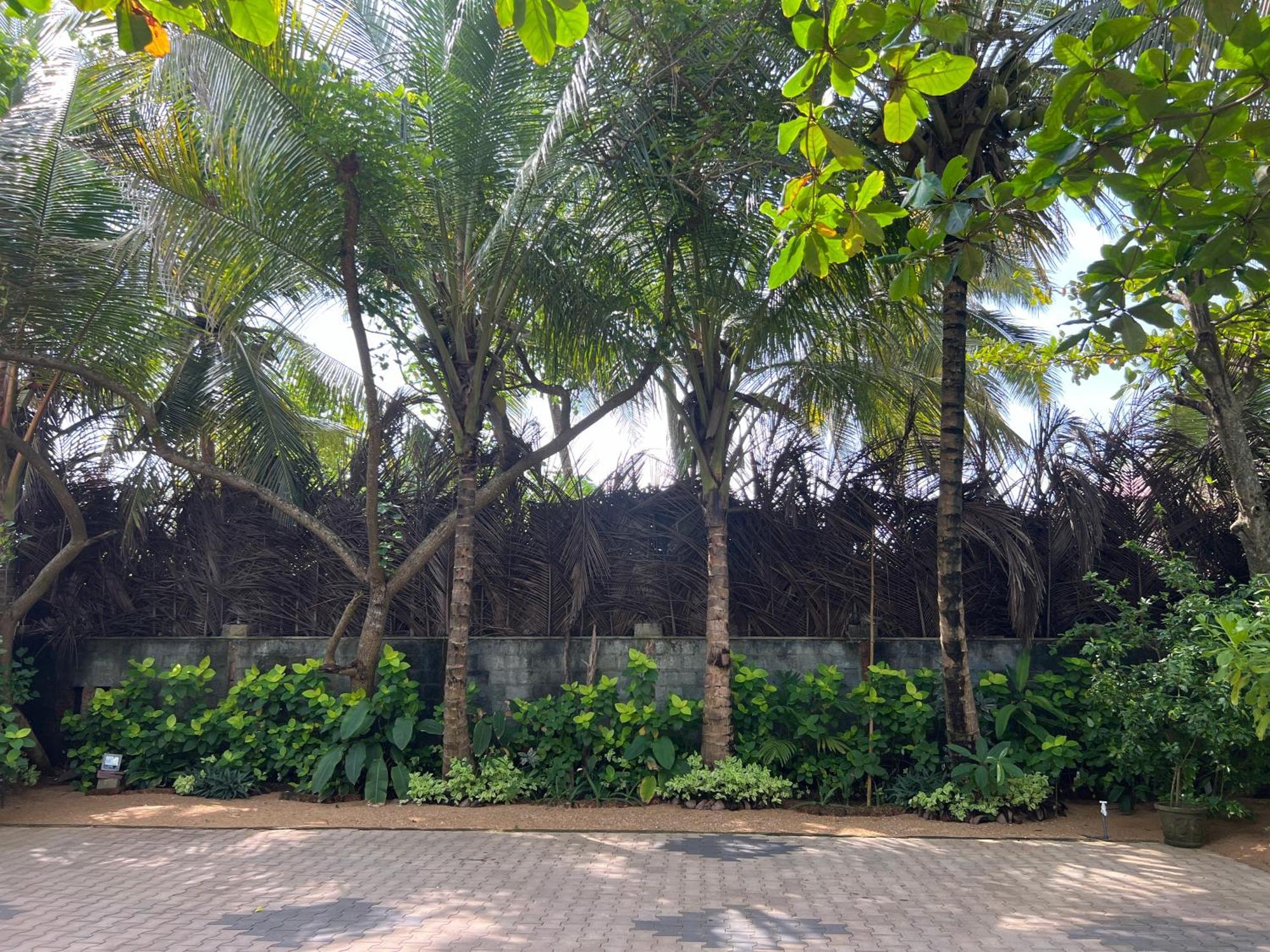 Lohas Beach Resort Villa Kalutara Ngoại thất bức ảnh