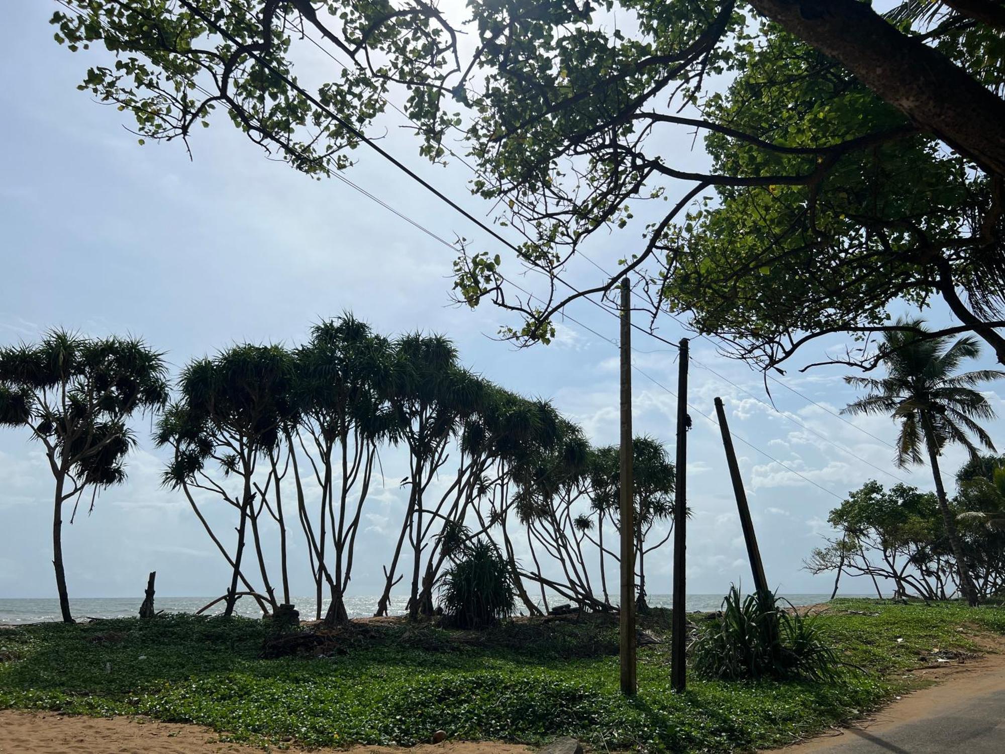 Lohas Beach Resort Villa Kalutara Ngoại thất bức ảnh